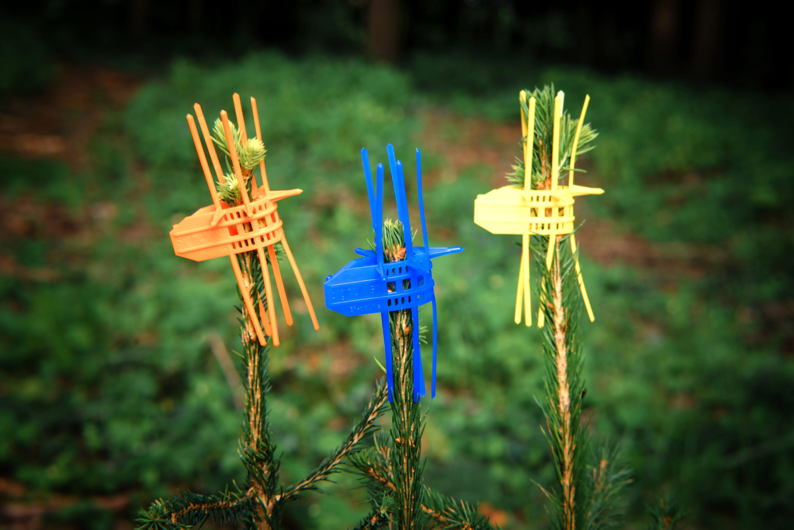 Avantages Des Manchons De Protection Pour Le Jardinage : Protection