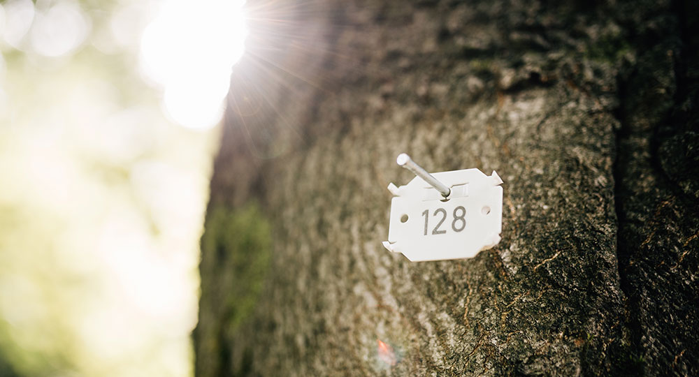 latschbacher-arbotag