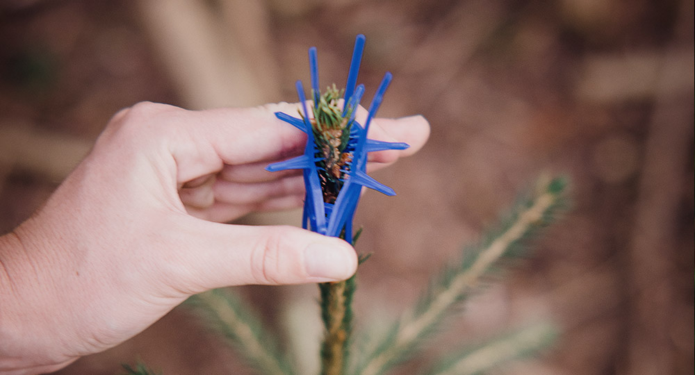 latschbacher-schutzmanschette-2-1